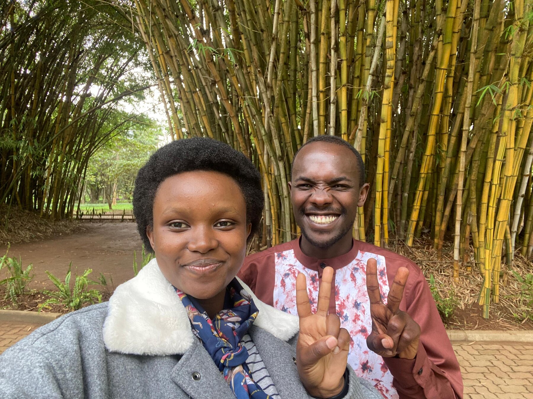 Bamboo forest