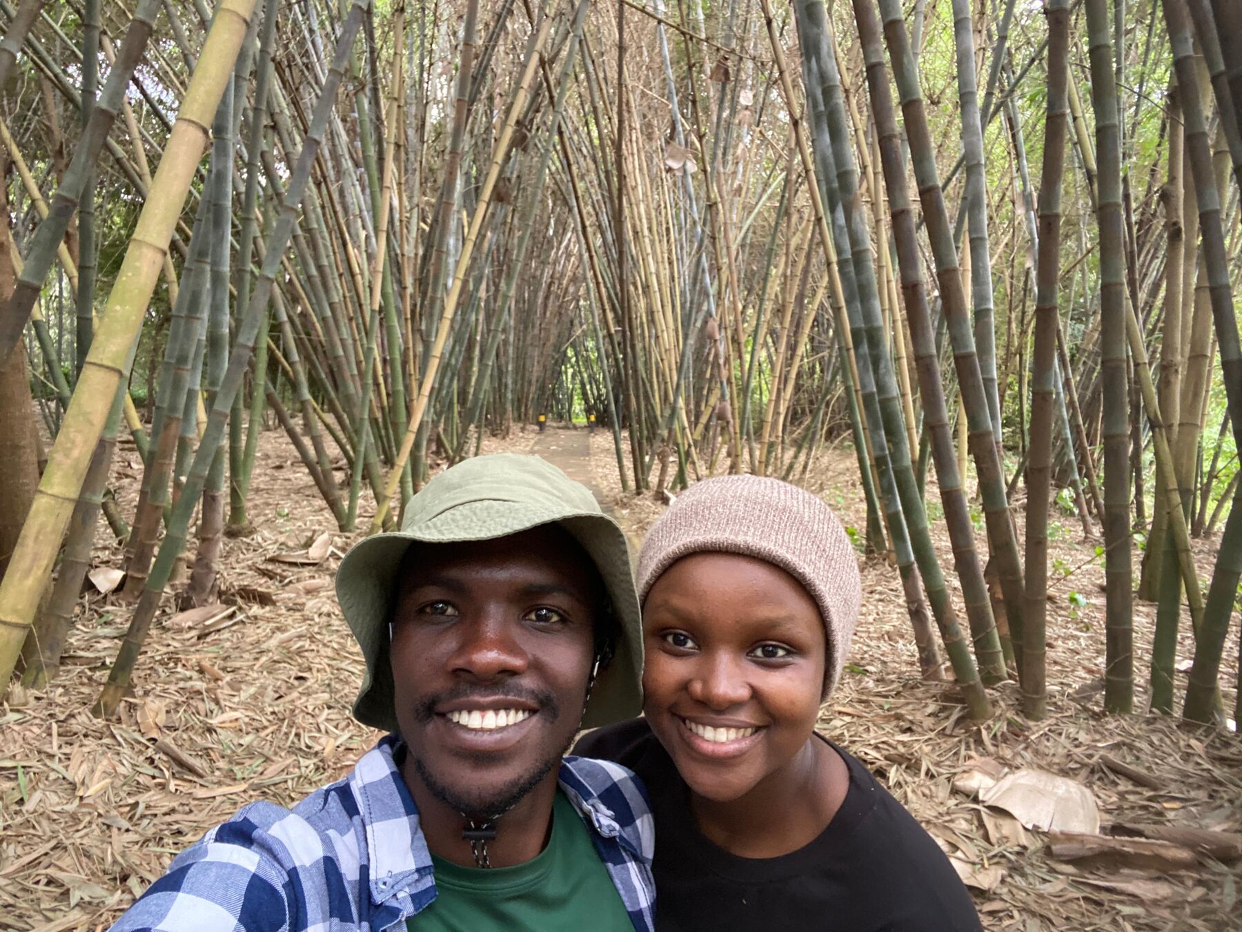 Nyandungu bamboo path